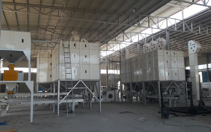 Turnkey Seed Conditioning Plant Turnkey Project in Egypt